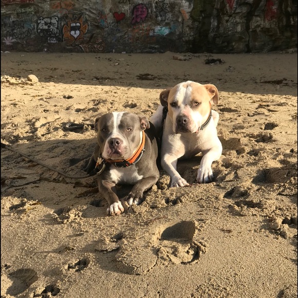 Meet your Posher, Jenny - Picture 5 of 9